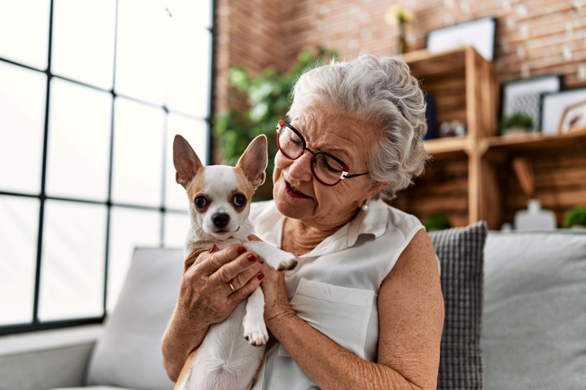 Featured image showing a senior with a cute dog in her home.